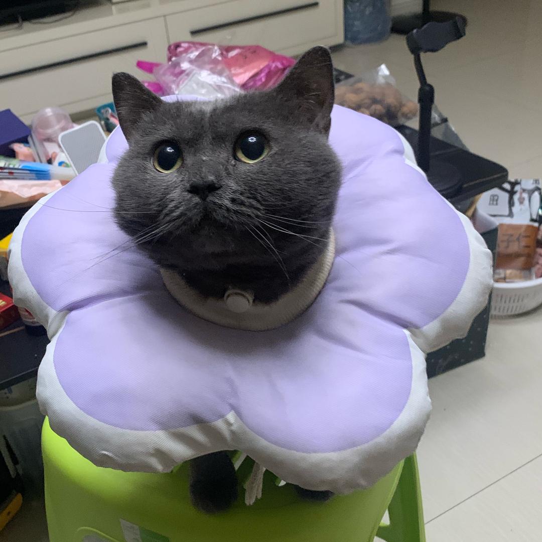 嘟宝老爸
