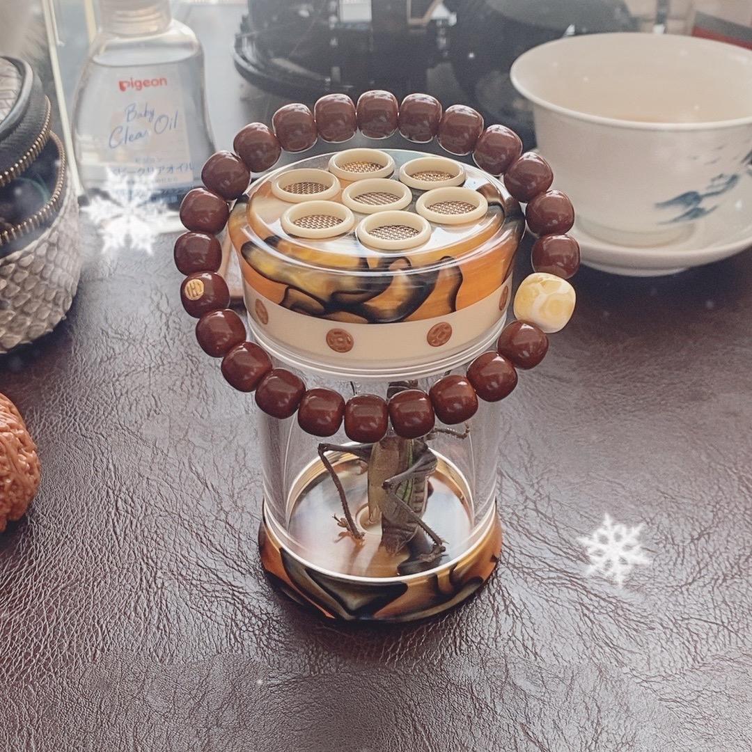 爱玩树籽