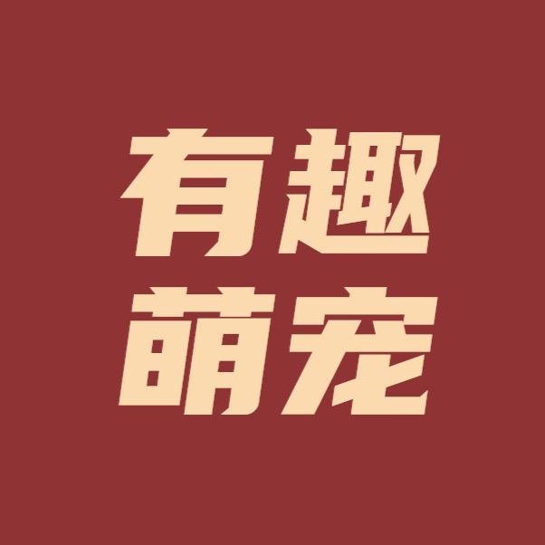 有趣萌宠