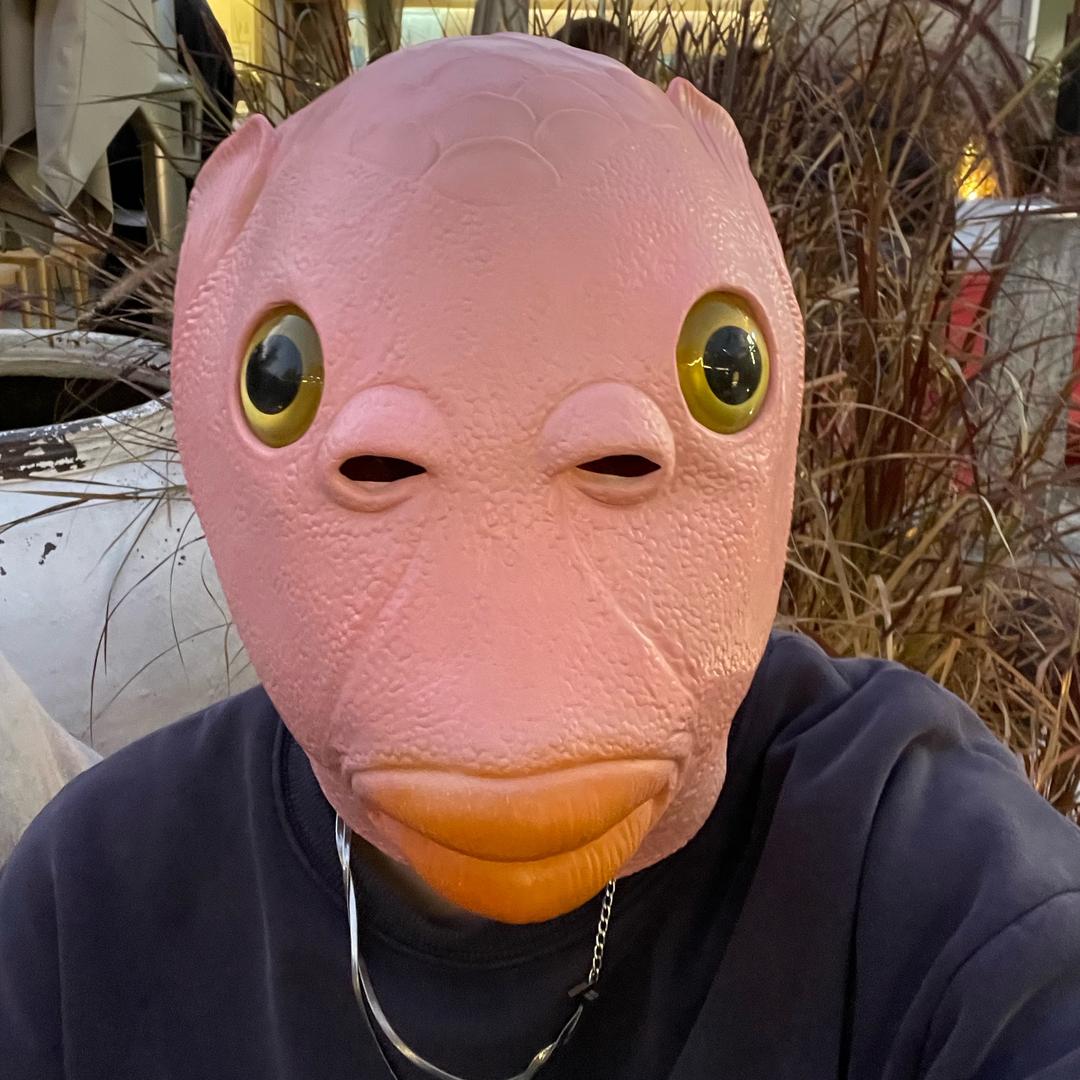 毛毛