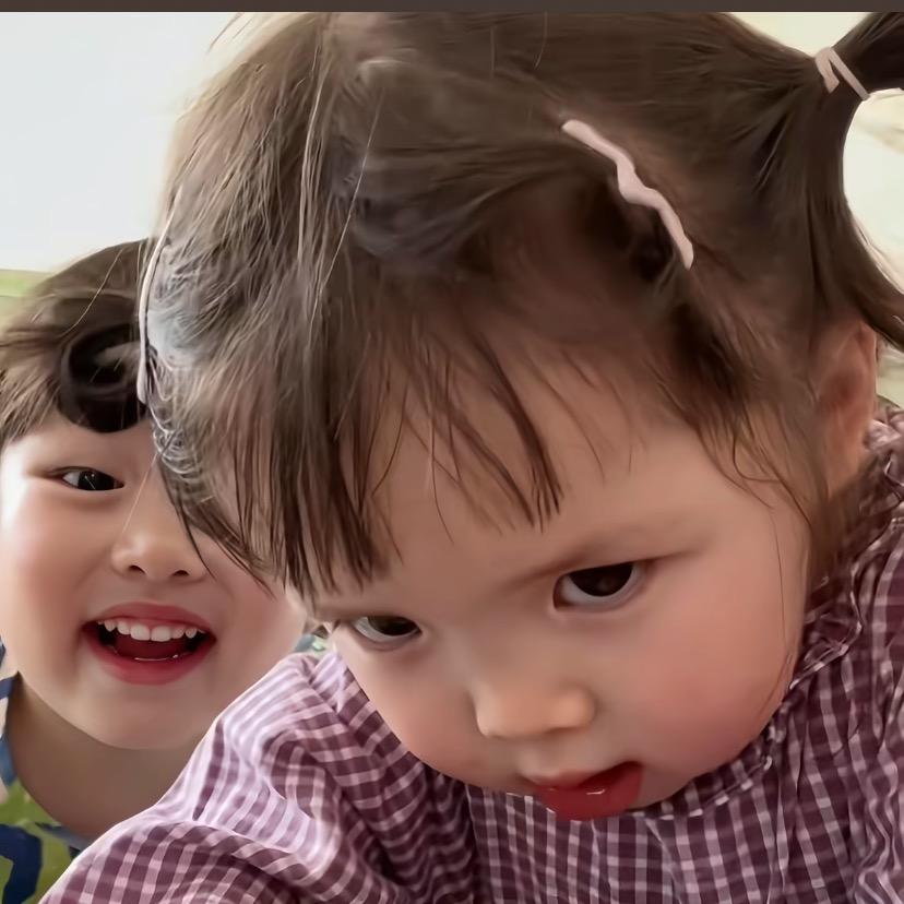 想要只小狗