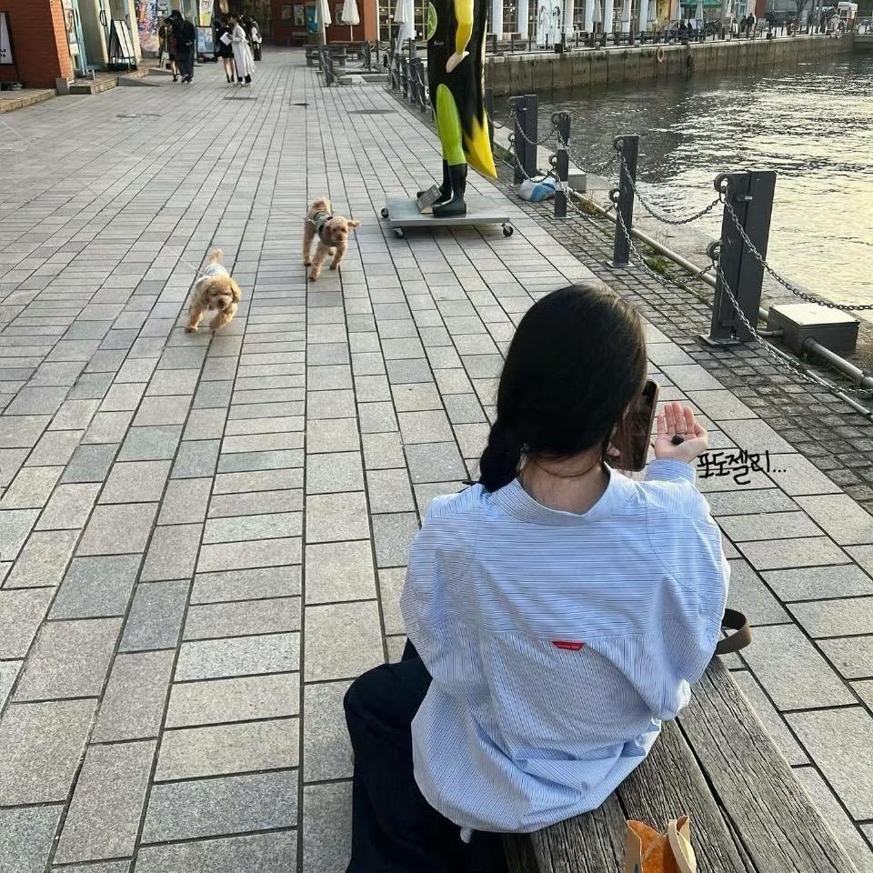 猪大肠