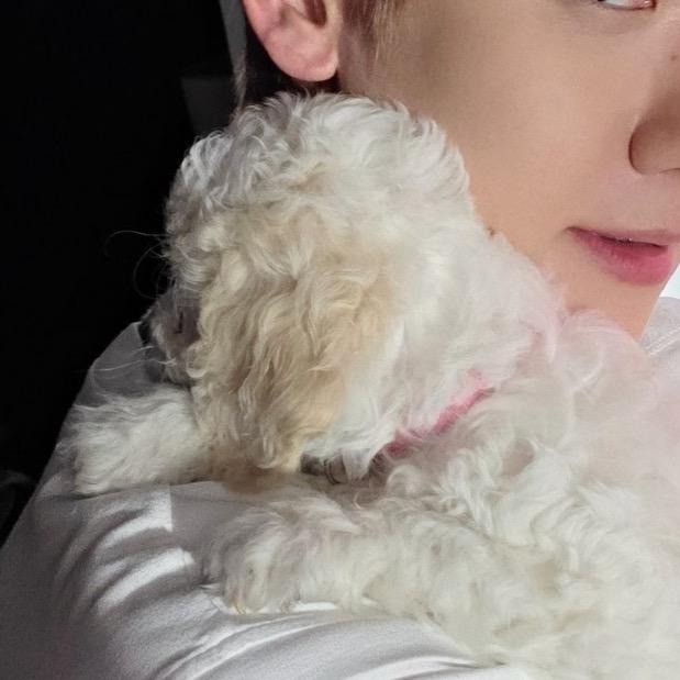 拾壹月的陆（见过农 兴版）