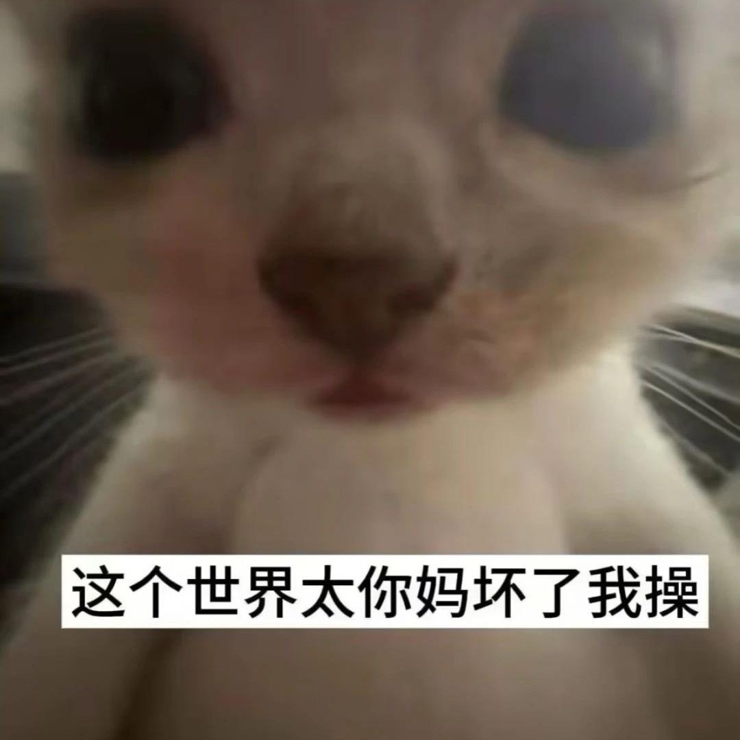 oi屁股一定要用来拉屎啊
