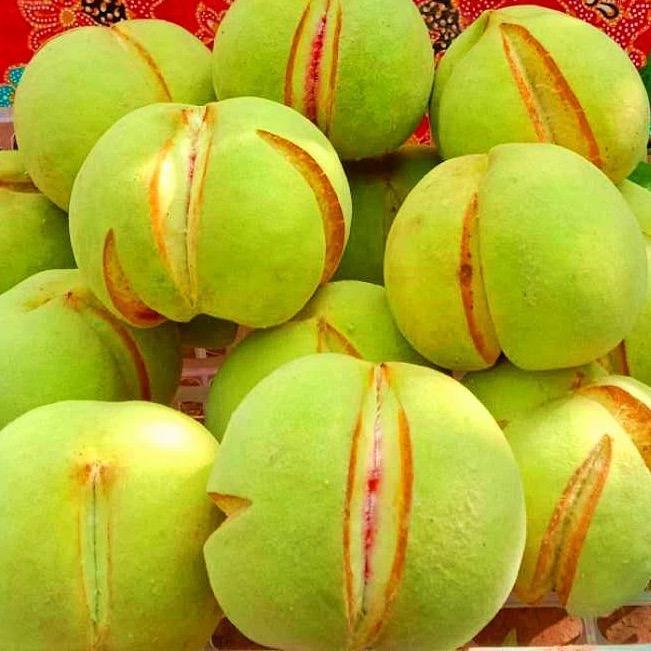 ☘️蜻蜓☘️点水☘️