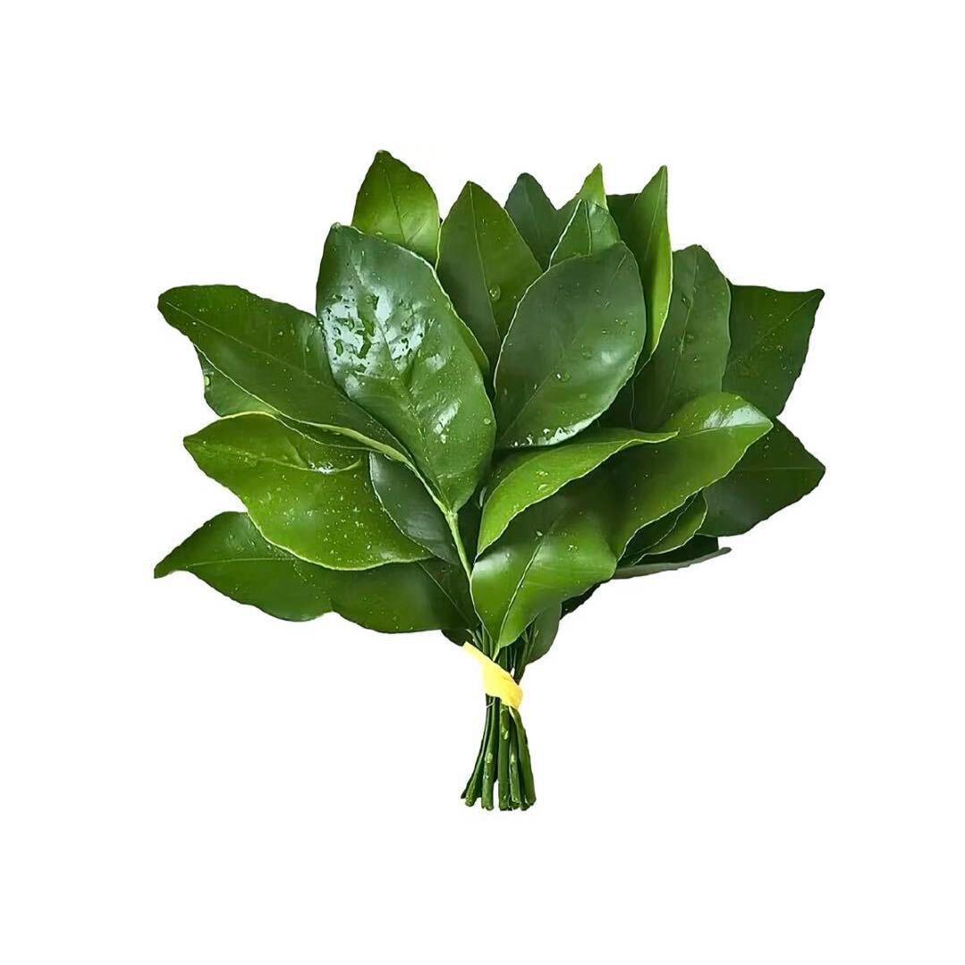 小猪妹妹