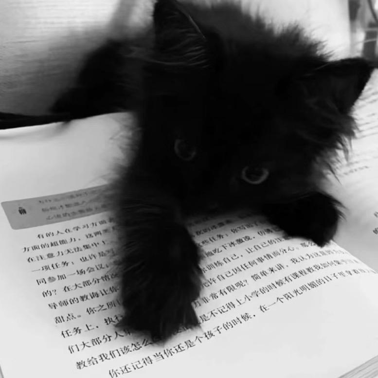 故.
