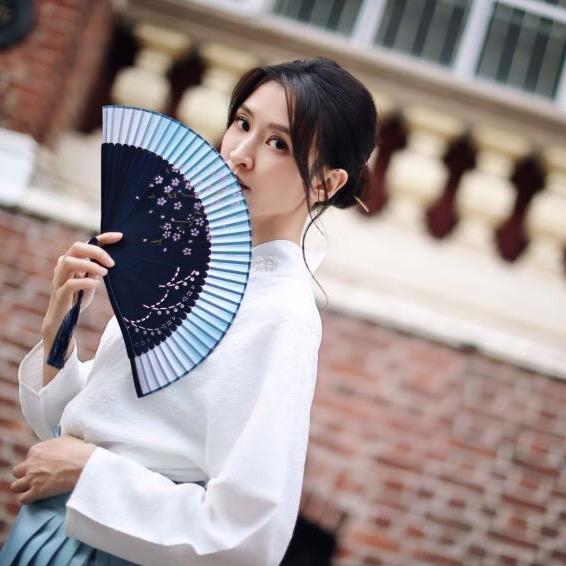 陈思齐