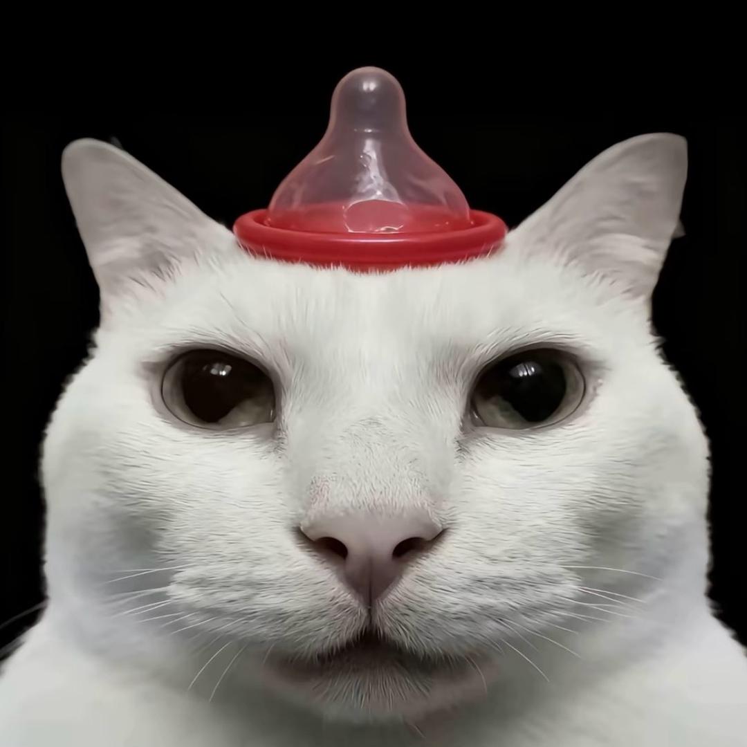ＫＩＮＧ
