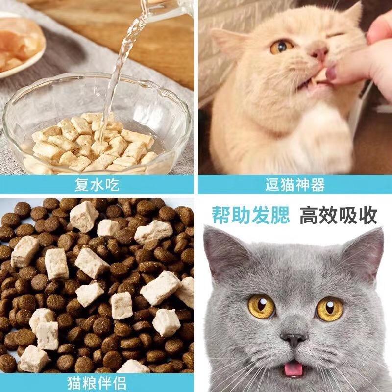 直男聊宠物