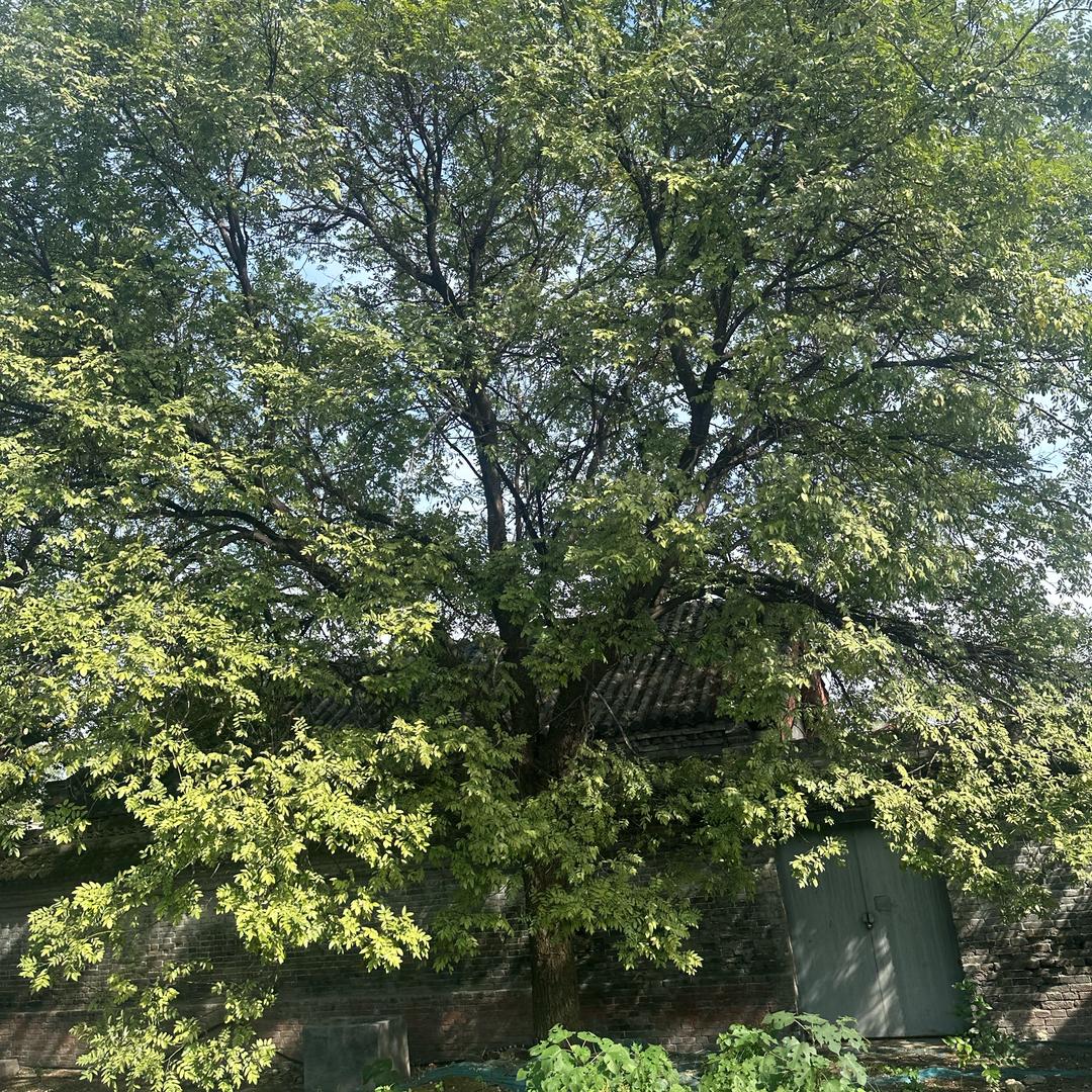 👨🏻‍💻👨🏻‍💻