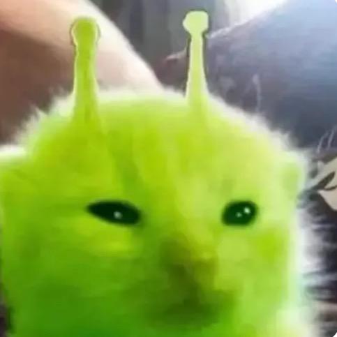 粥粥蟹