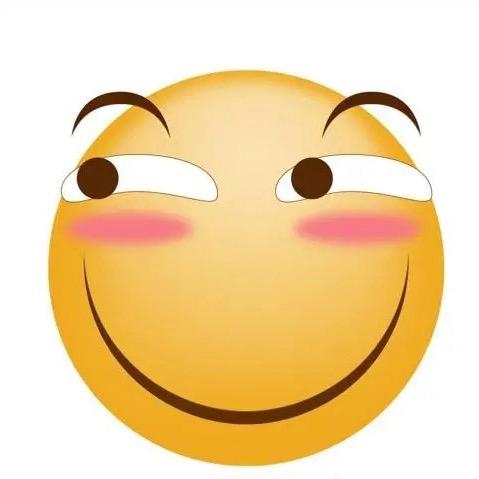 ⭐砖家⭐