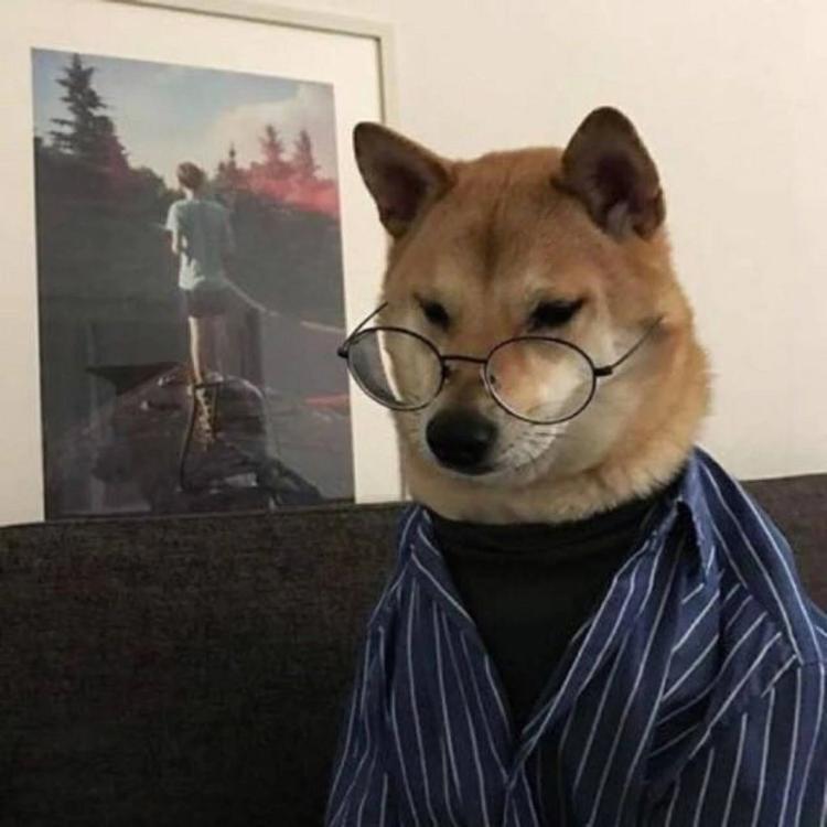 听风哥哥