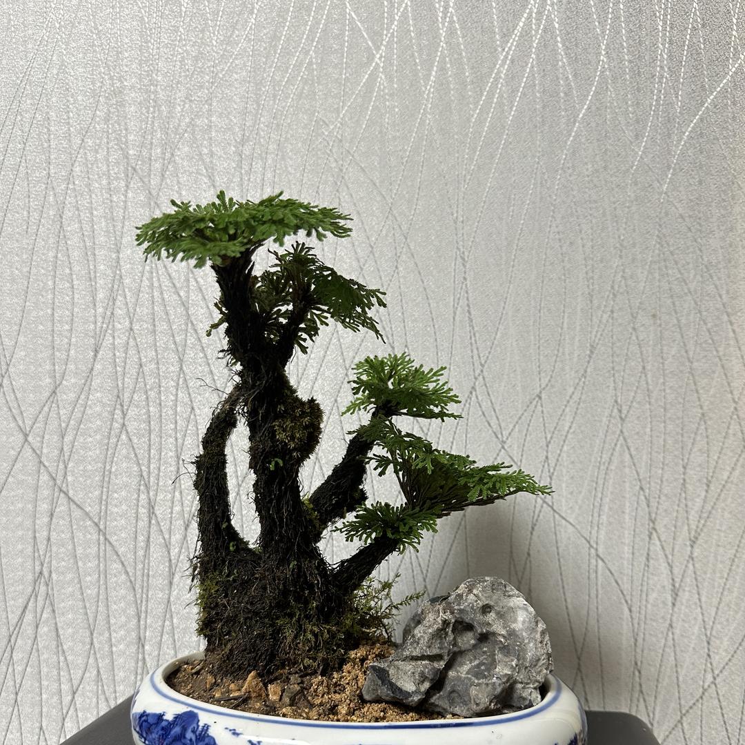 润景园艺店