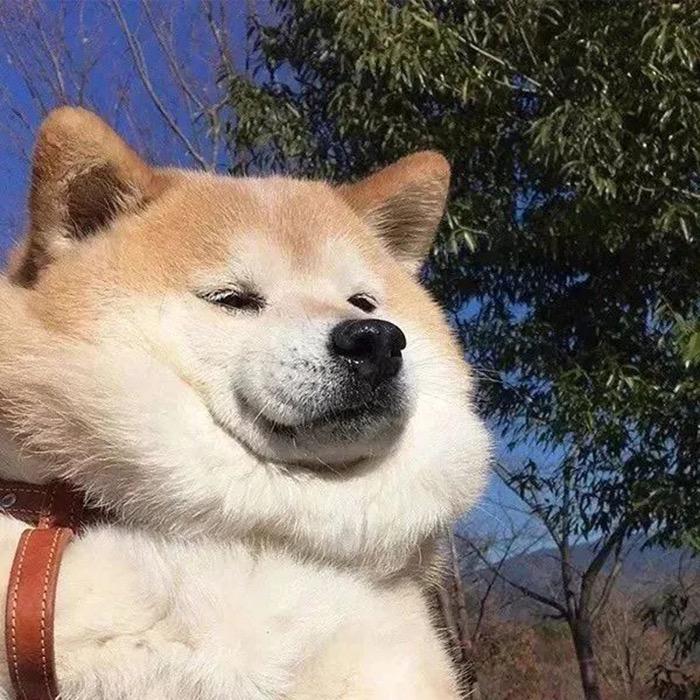 一口苦哈哈(A-小王)