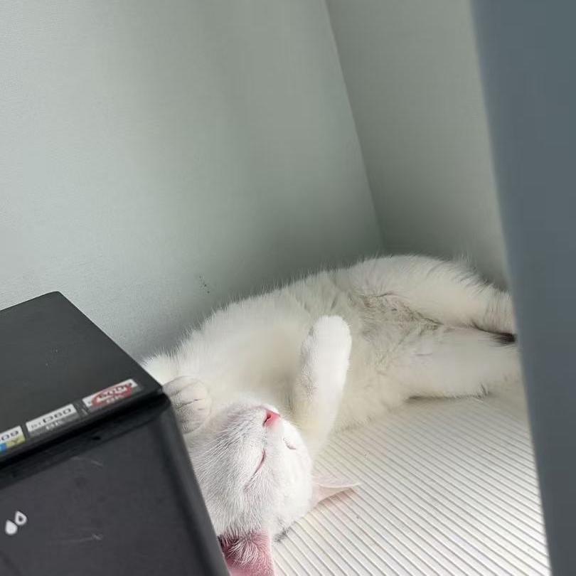 太仓展志天华全屋定制/木门