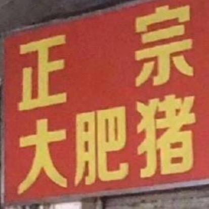 正宗大肥猪