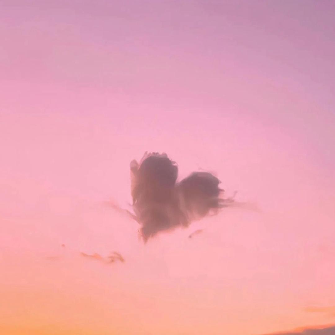 困