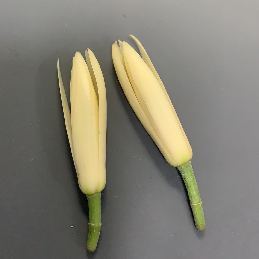 喂谁在掉眼泪