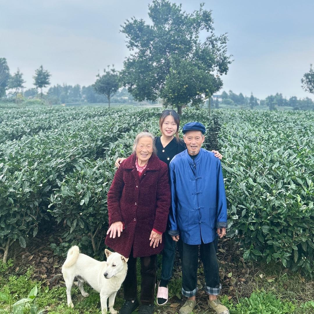 老李家的孙媳妇儿