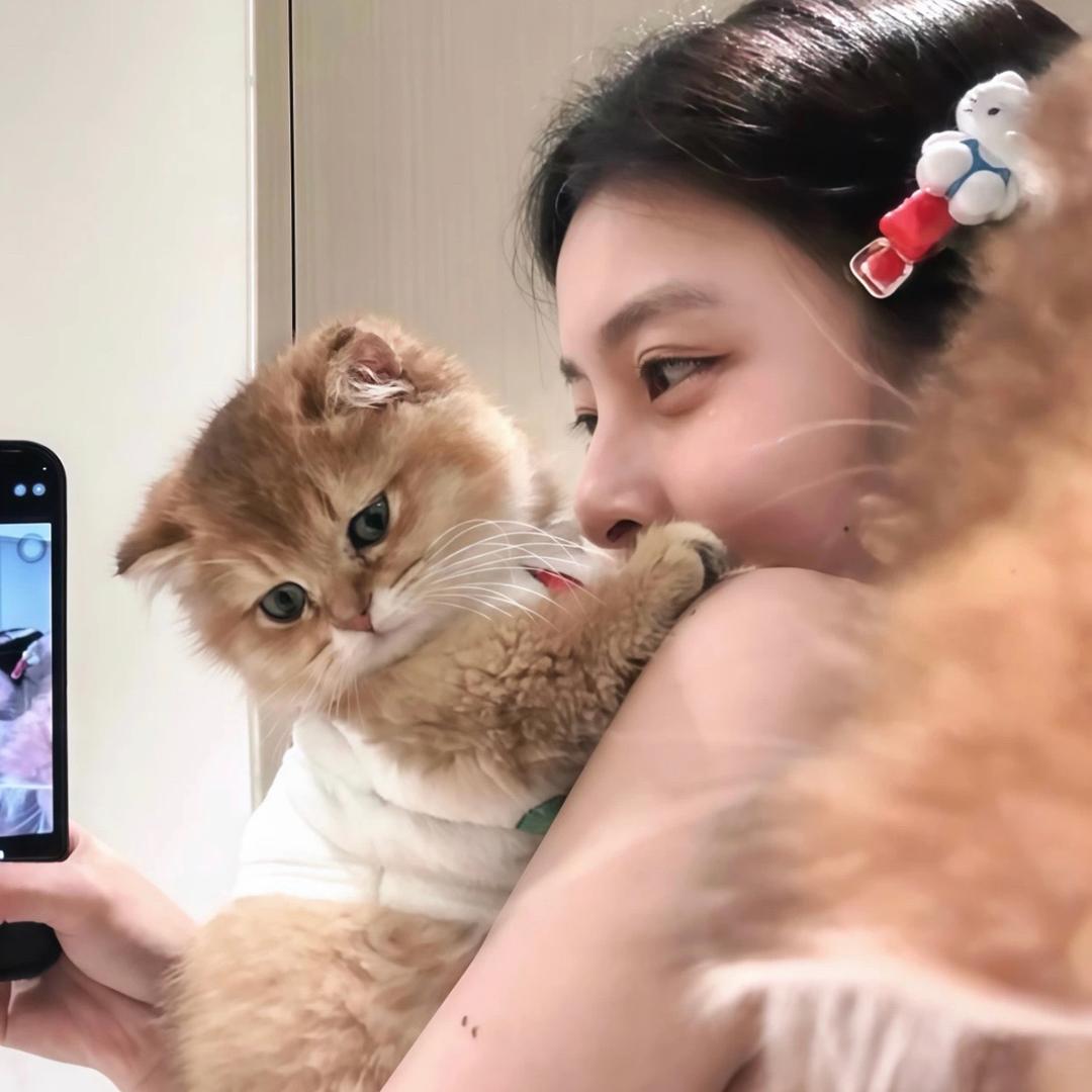 心碎锅包肉.🍟