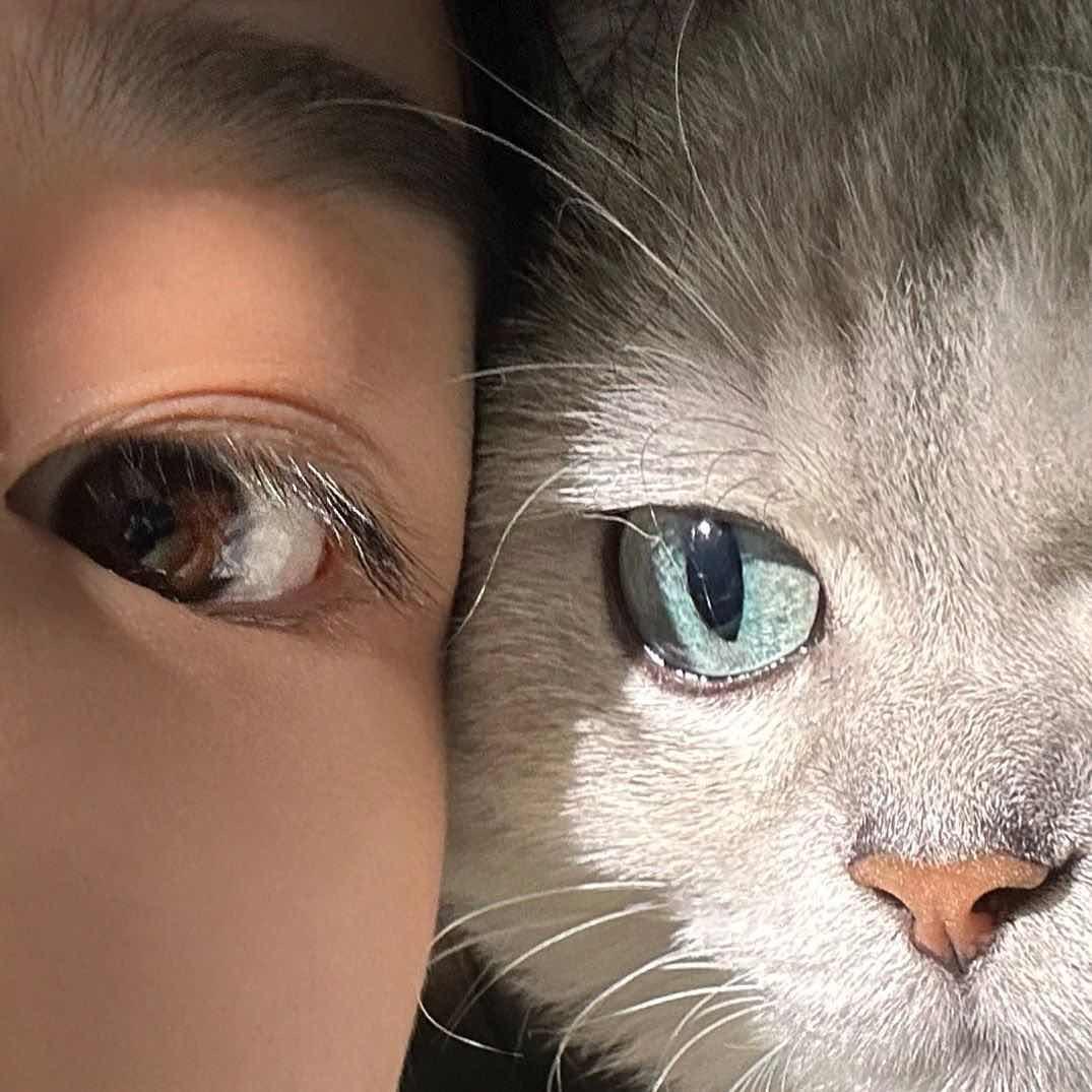 信仰