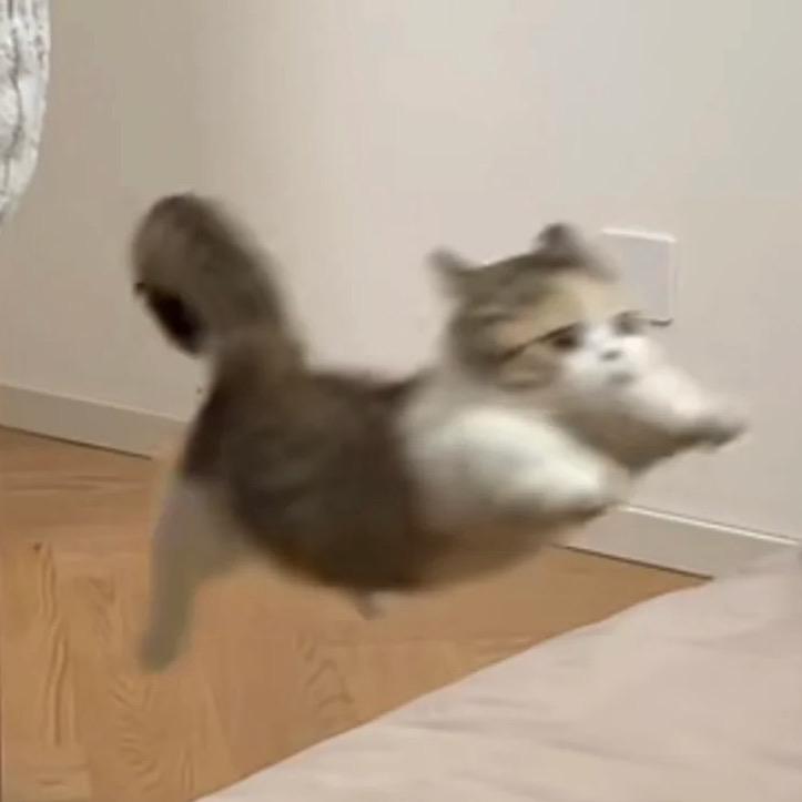 超Q哒溜溜梅