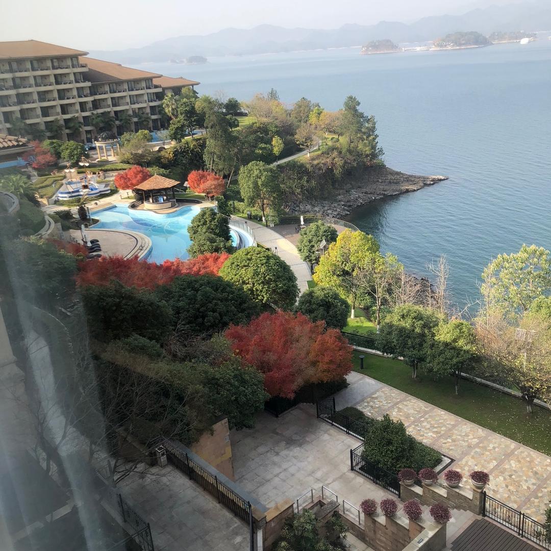 翻新沙发，招学员