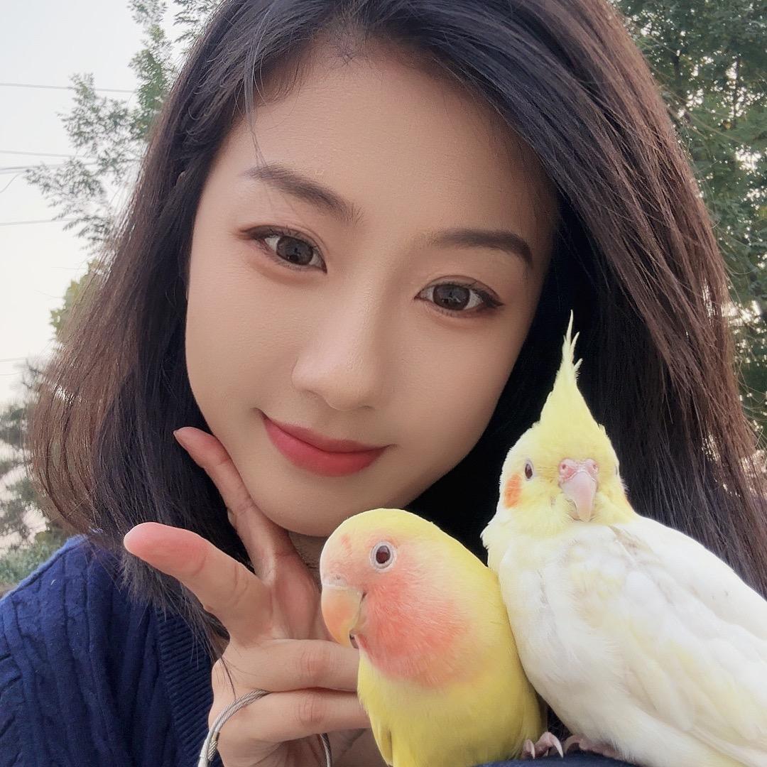 天使鱼👑