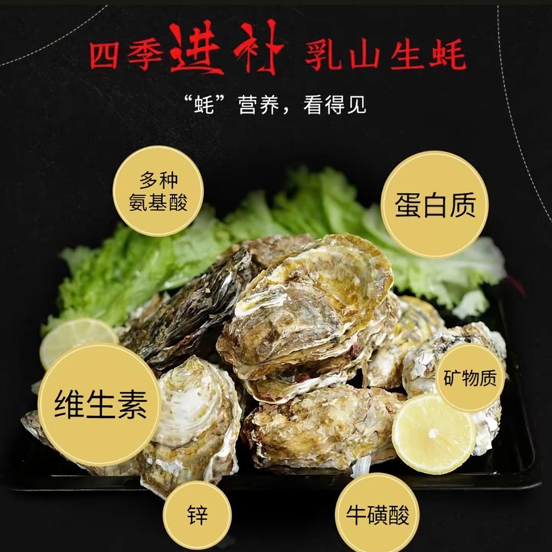 🦪蚝事发生🦪