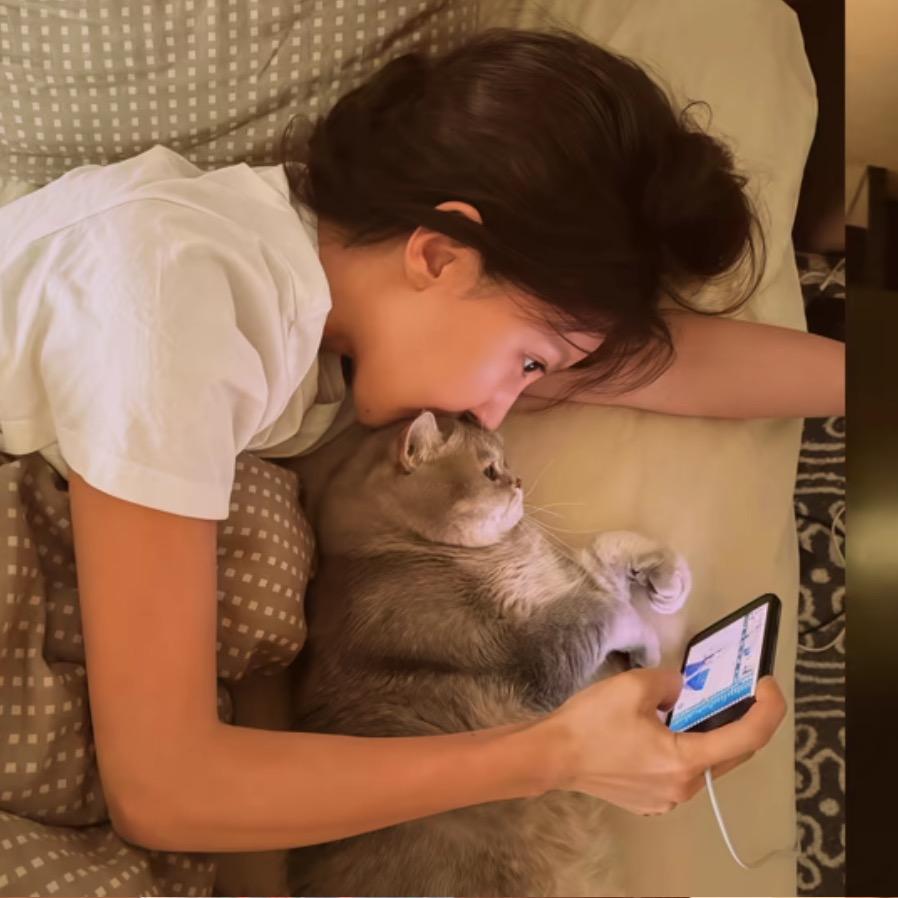 一只猫-