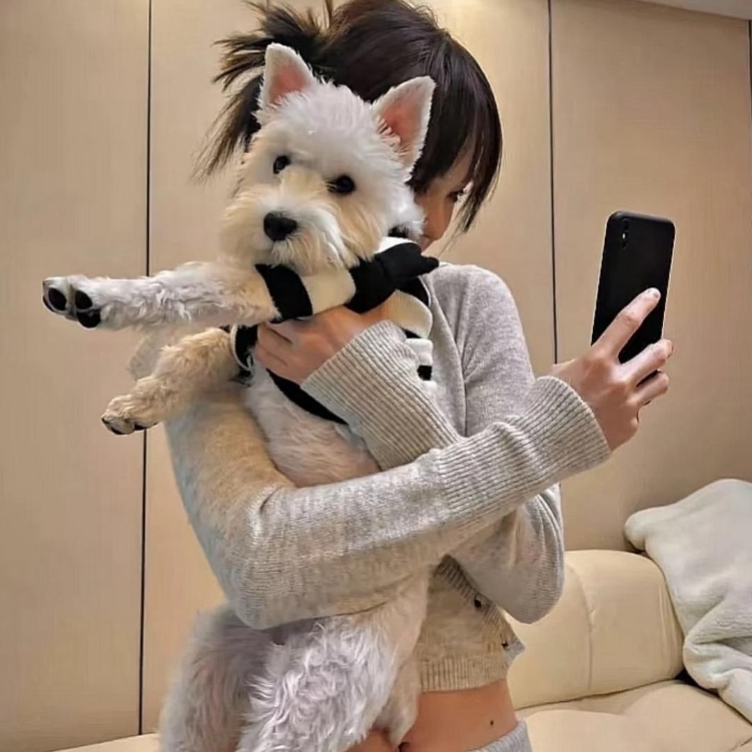 ¥嘻嘻¥
