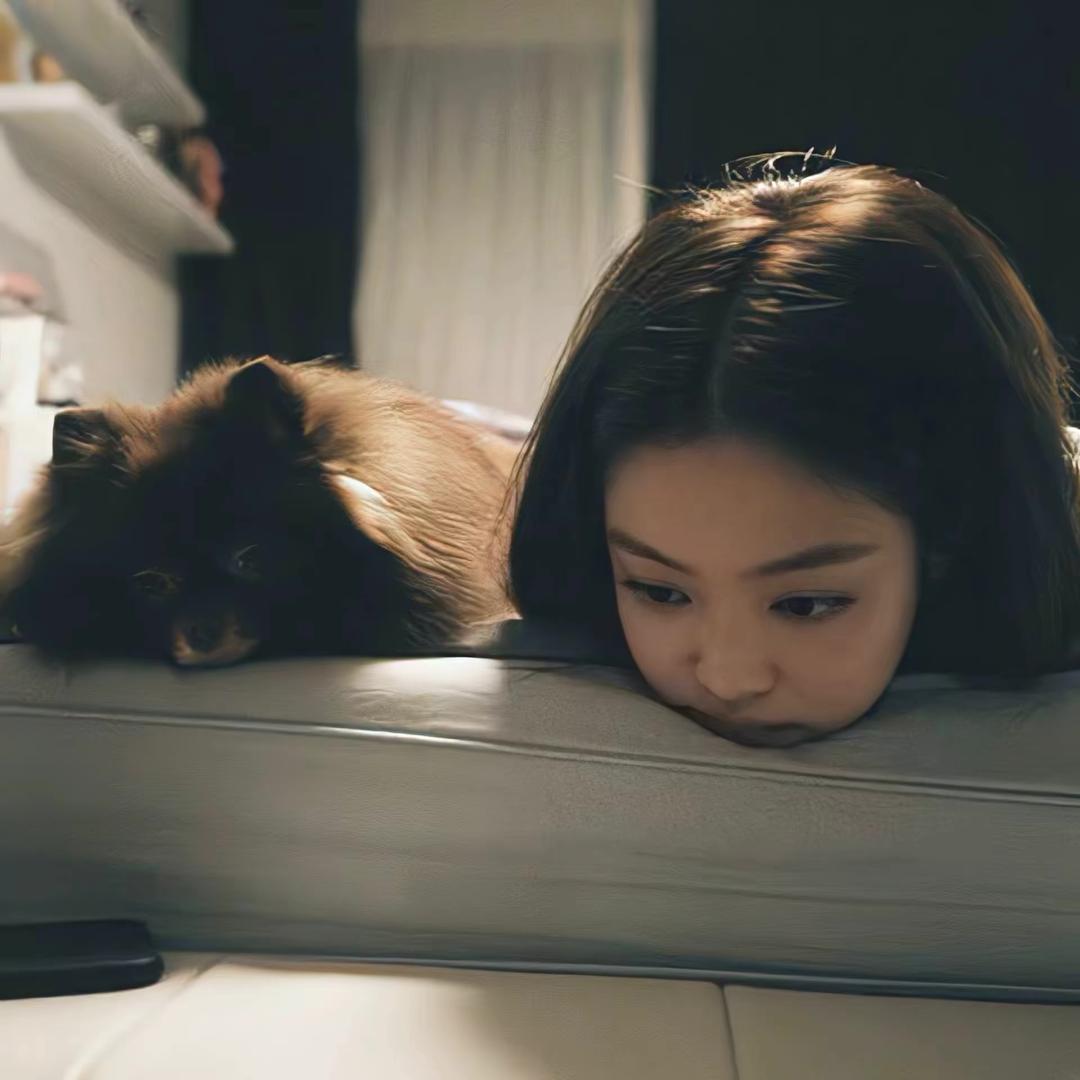 猫猫雨