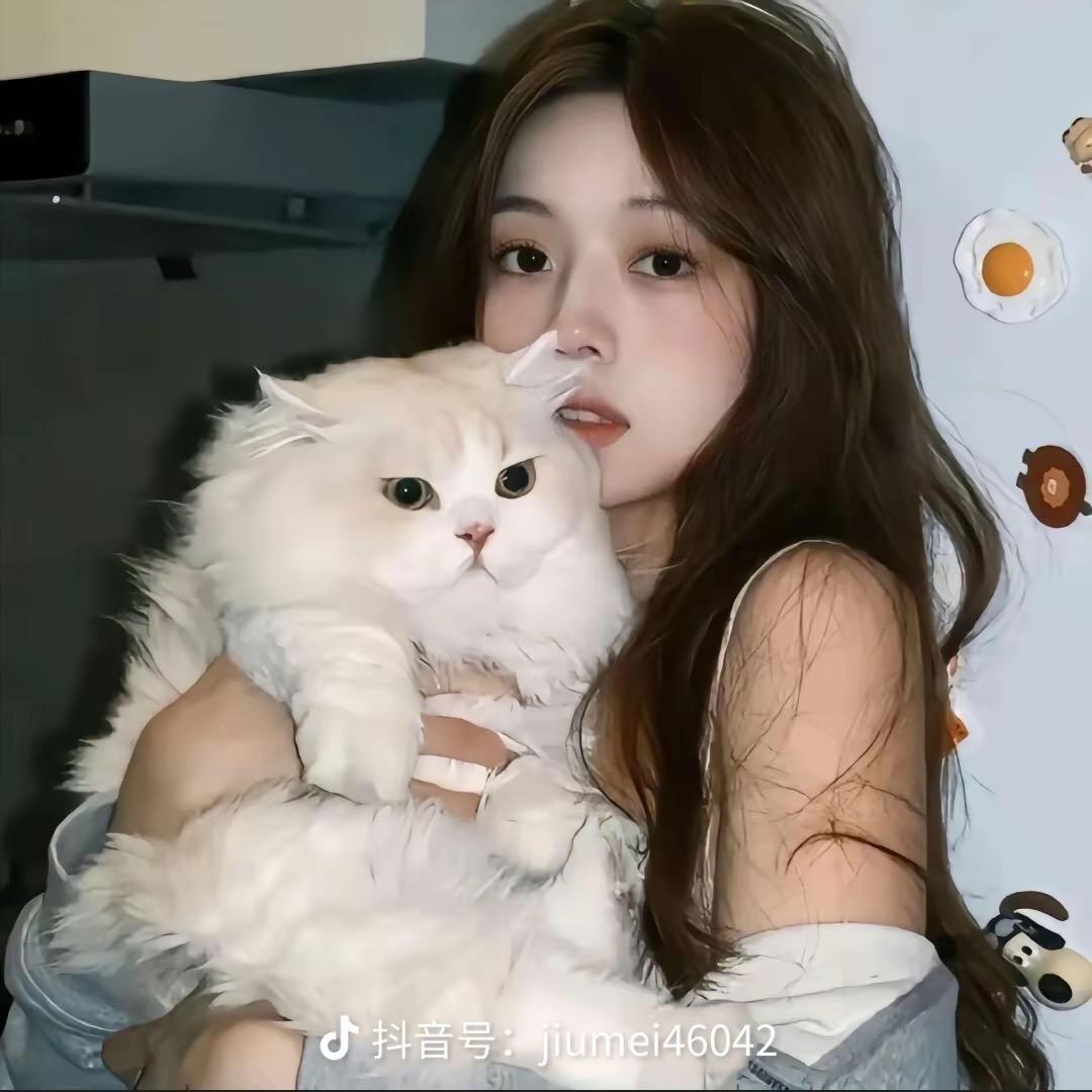 兔子姬