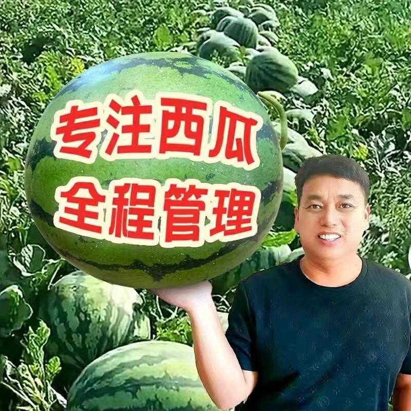 刘华西瓜技术分享