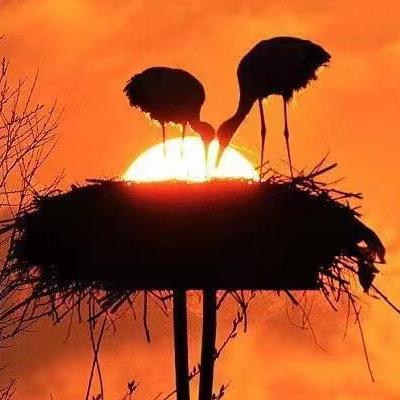 恐龙王国不夜城