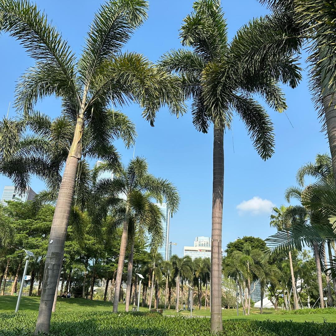 卓耀文化惠惠