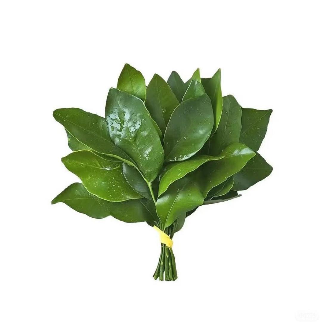 野生小厨房