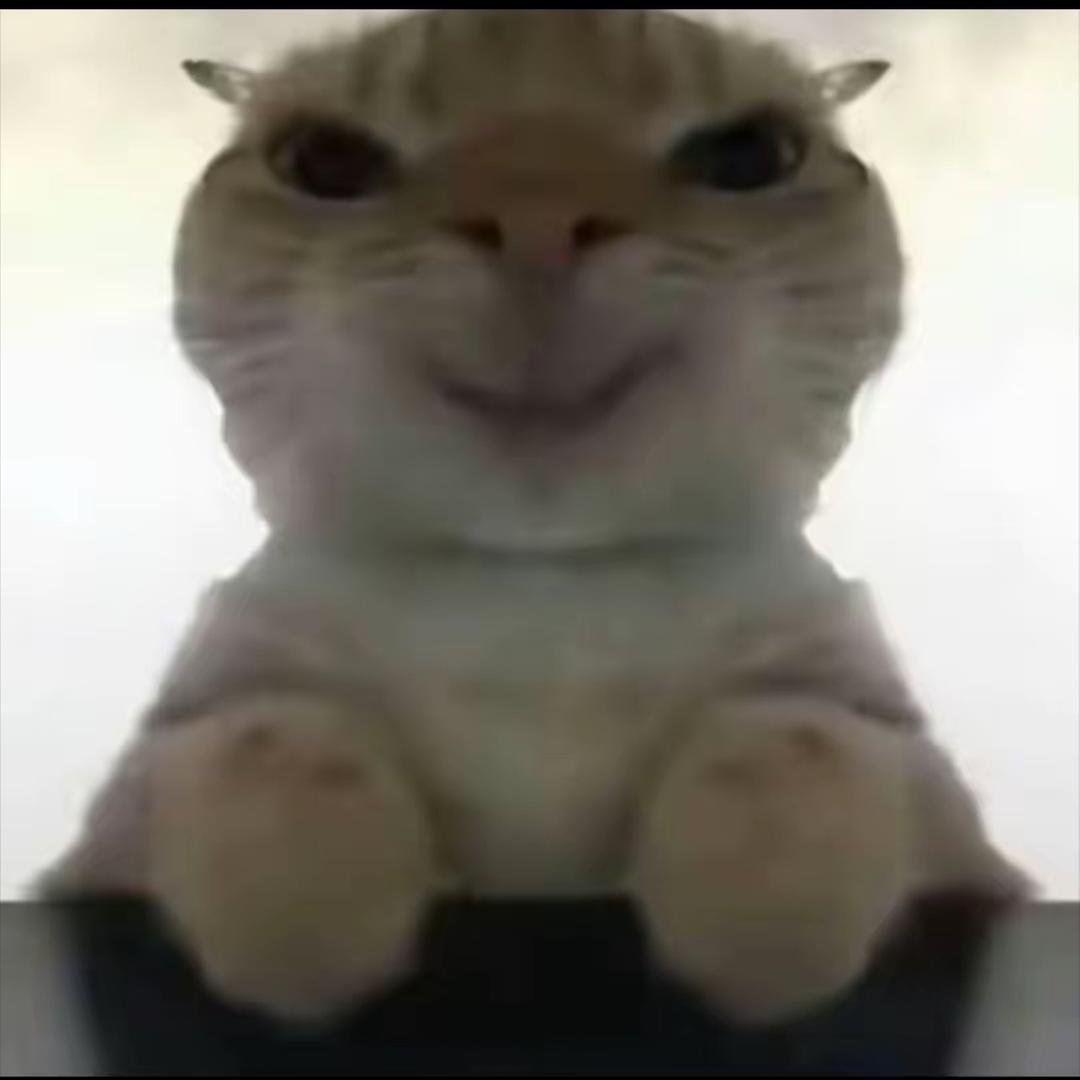 王宇昊（三角洲行动）