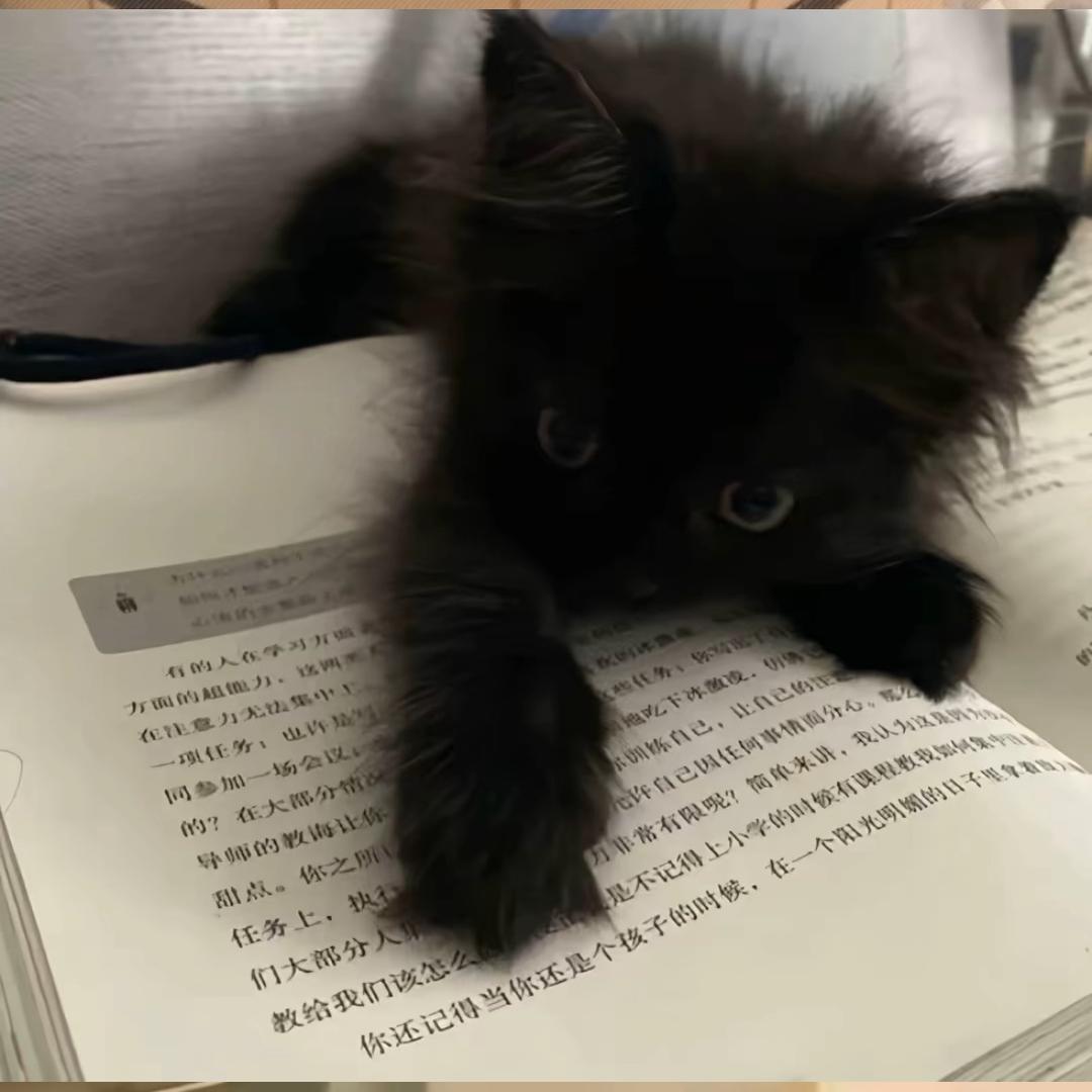 YangL.