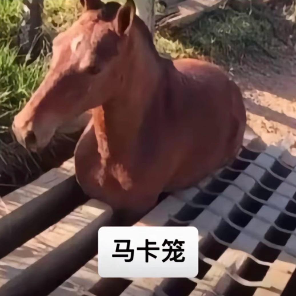 小钰转晴