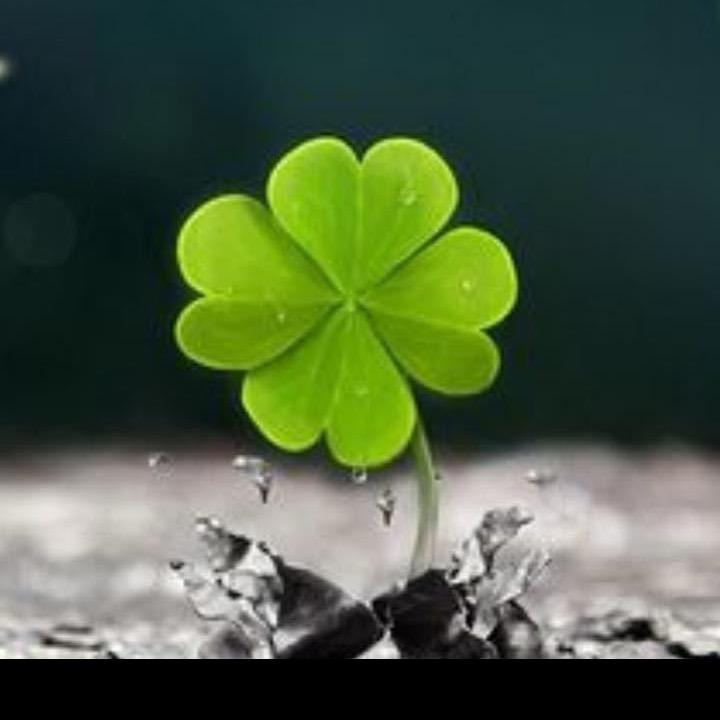 沐瑜🍀