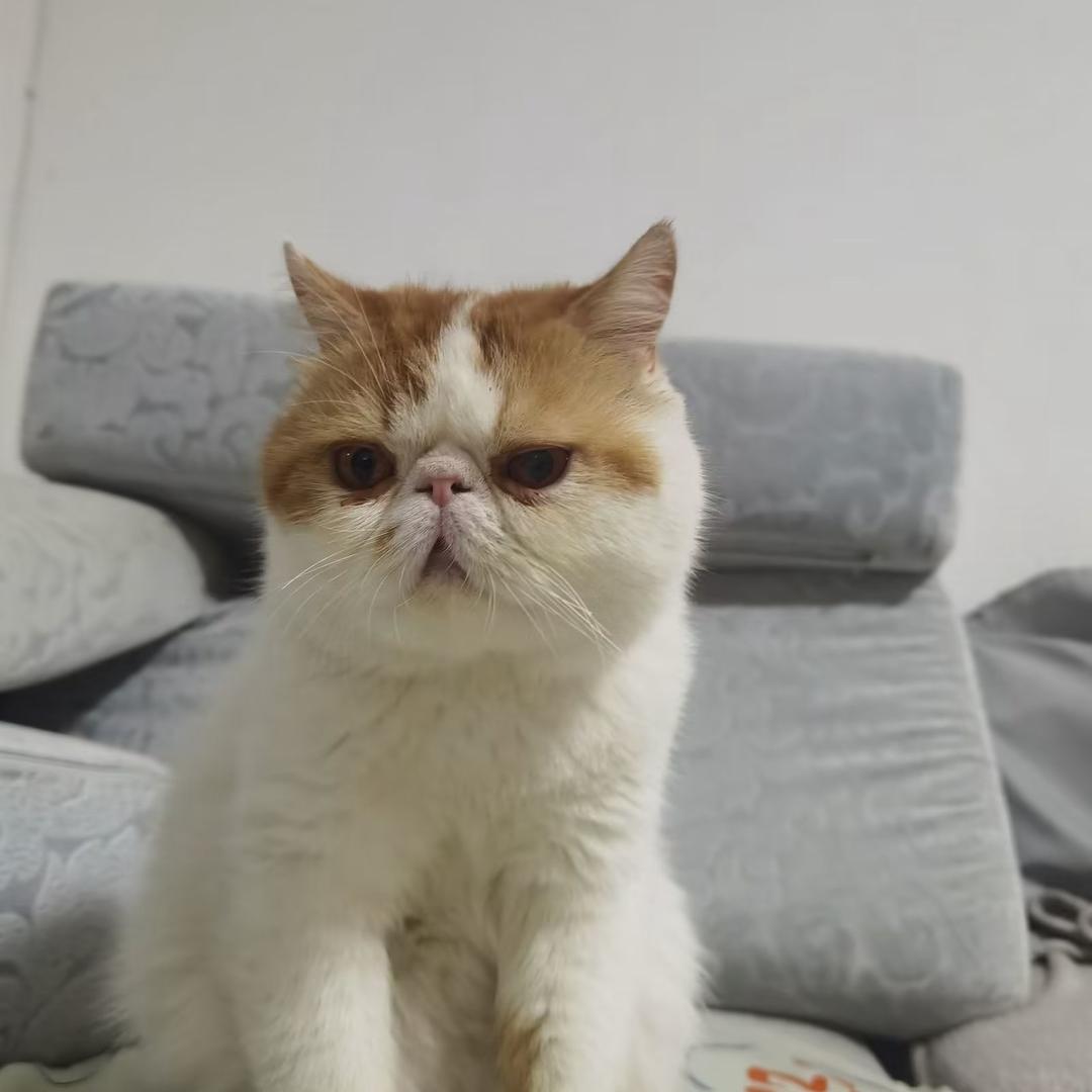 Wzzzzzx
