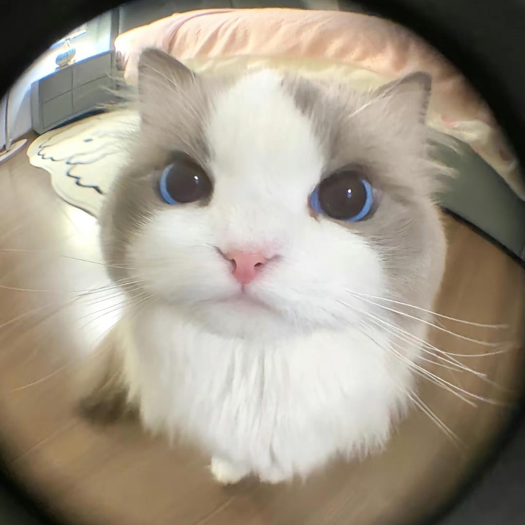 敢当（收新生）