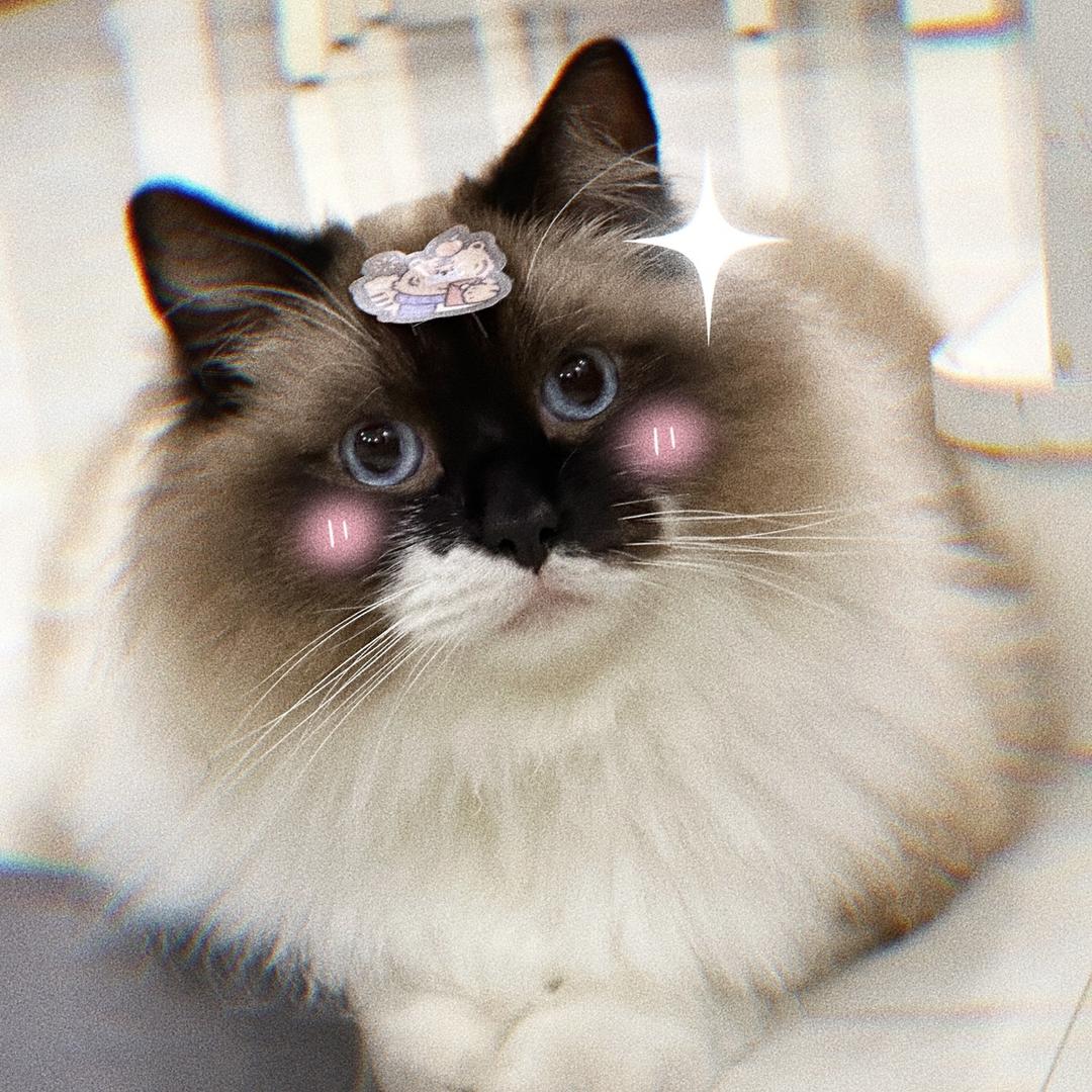 我的小熊不见了