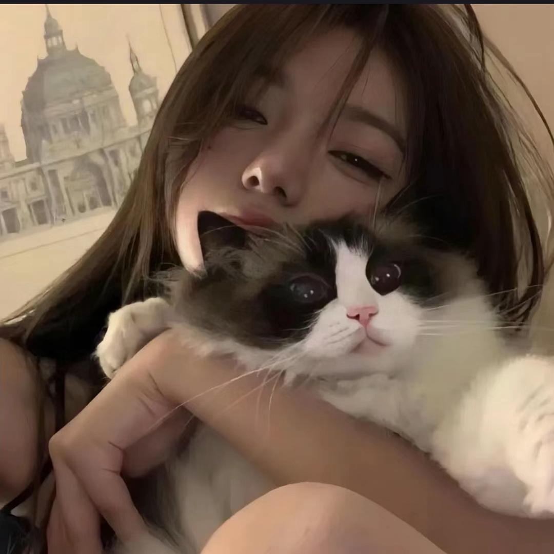 圆圆.