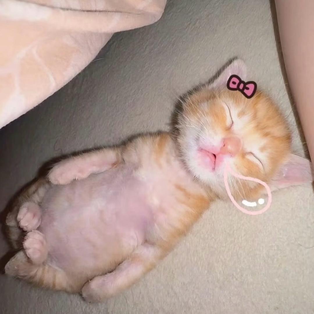 橘粒咕噜