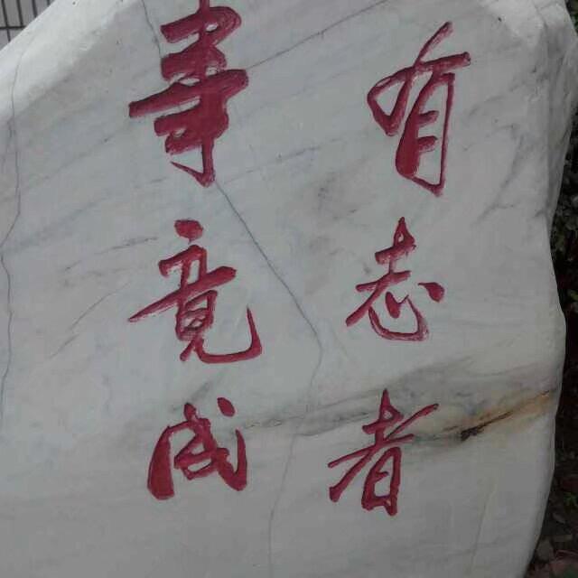 🇨🇳 梦之蓝🇨🇳