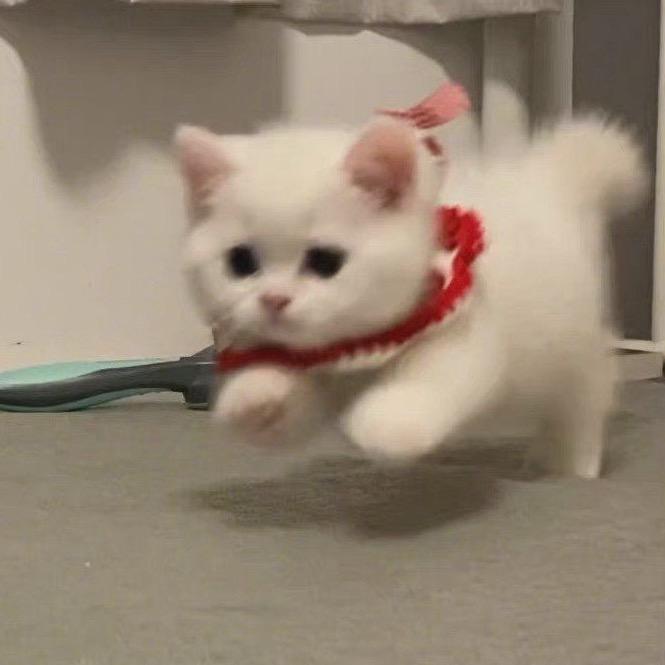 小御大王o.0